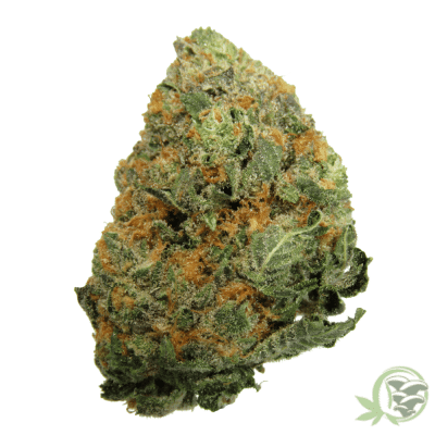 The best online dispensary in Canada for Weed, Magic Mushrooms and Psychedelics