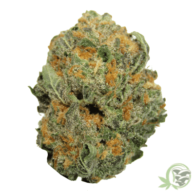 The best online dispensary in Canada for Weed, Magic Mushrooms and Psychedelics