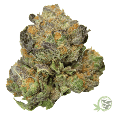 The best online dispensary in Canada for Weed, Magic Mushrooms and Psychedelics
