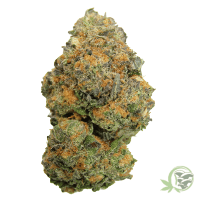 The best online dispensary in Canada for Weed, Magic Mushrooms and Psychedelics
