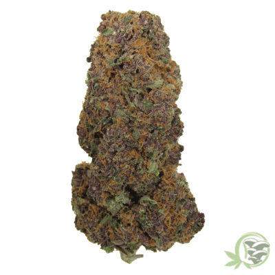 The best online dispensary in Canada for Weed, Magic Mushrooms and Psychedelics