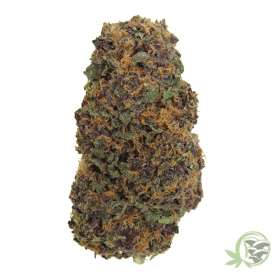 The best online dispensary in Canada for Weed, Magic Mushrooms and Psychedelics