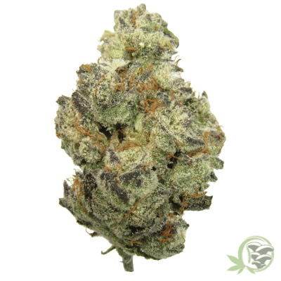 The best online dispensary in Canada for Weed, Magic Mushrooms and Psychedelics