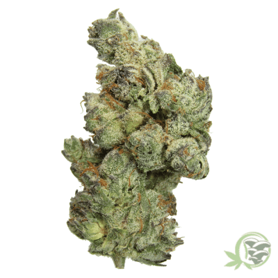 The best online dispensary in Canada for Weed, Magic Mushrooms and Psychedelics