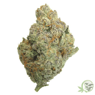 The best online dispensary in Canada for Weed, Magic Mushrooms and Psychedelics