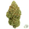 The best Weed in Canada can be found at SacredMeds online dispensary.