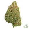 The best Weed in Canada can be found at SacredMeds online dispensary.