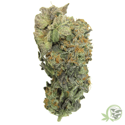 The best weed available online in Canada from an online dispensary.