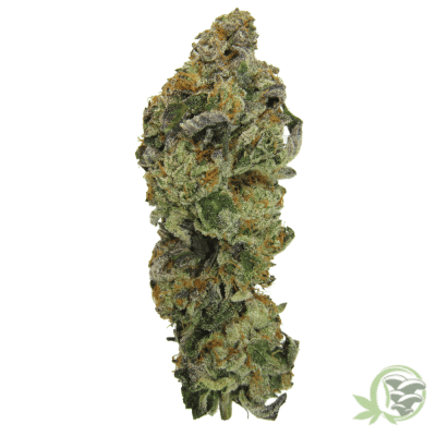 The best weed available online in Canada from an online dispensary.