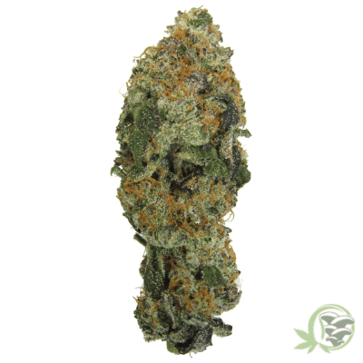 The best weed available online in Canada from an online dispensary.