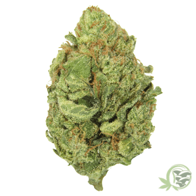 The best craft cannabis in Canada is from SacredMeds online dispensary.