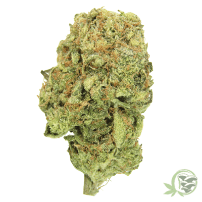 The best craft cannabis in Canada is from SacredMeds online dispensary.
