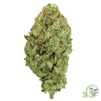 The best craft cannabis in Canada is from SacredMeds online dispensary.