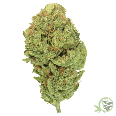 The best craft cannabis in Canada is from SacredMeds online dispensary.