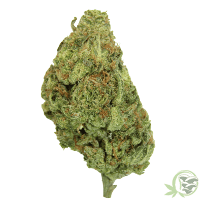 The best craft cannabis in Canada is from SacredMeds online dispensary.