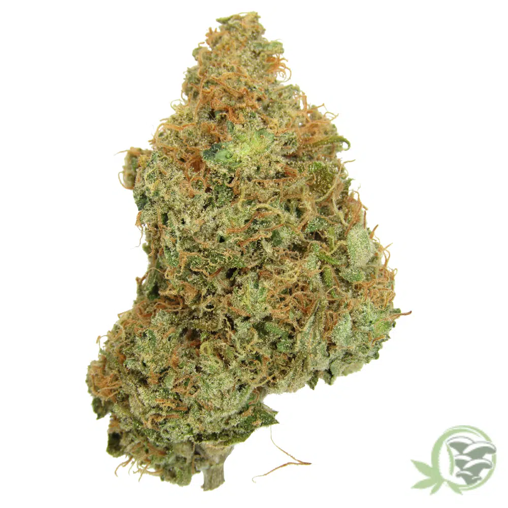 The best Weed in Canada can be found at SacredMeds online dispensary.