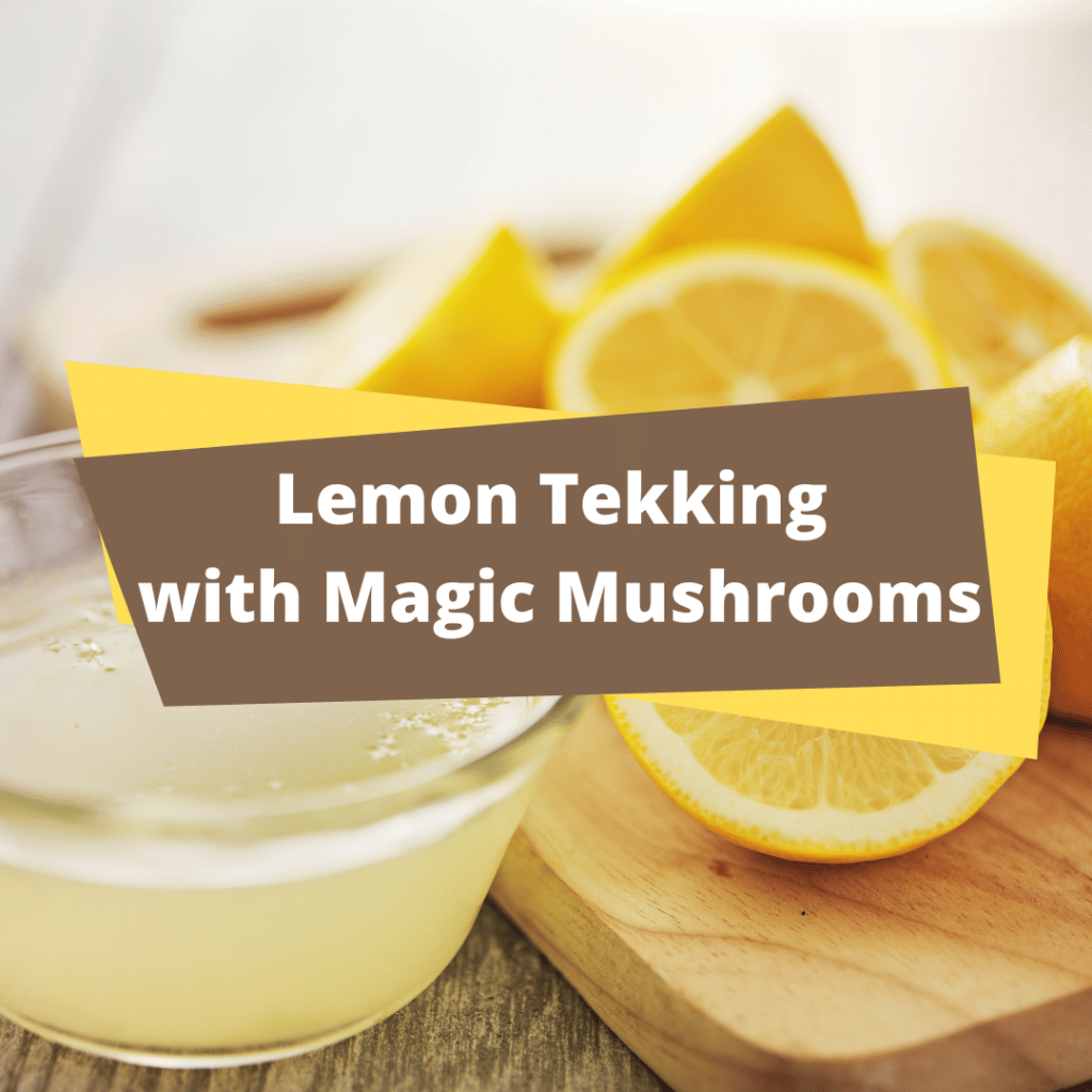 Lemon Tekking information on how to increase potency of magic Mushrooms