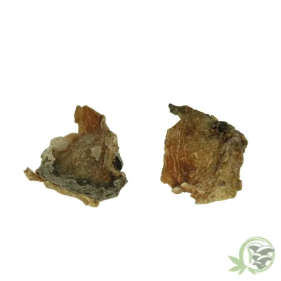 Raw dried Peyote Cactus available online in Canada