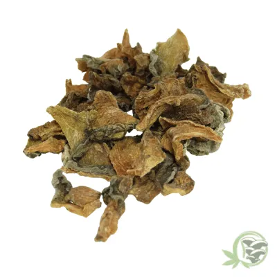 Raw dried Peyote Cactus available online in Canada