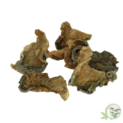 Raw dried Peyote Cactus available online in Canada