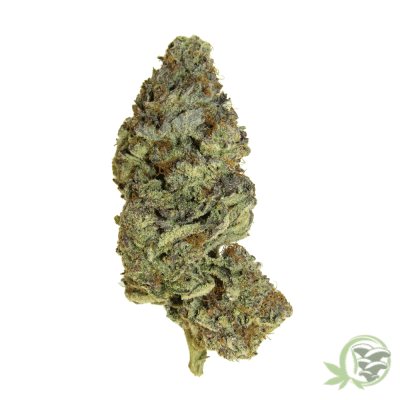 SacredMeds online dispensary is where to buy the best cannabis in Canada, such as Dark Matter strain.