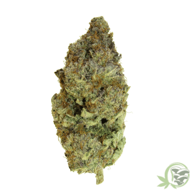 SacredMeds online dispensary is where to buy the best cannabis in Canada, such as Dark Matter strain.