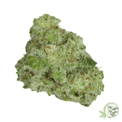 Buy the best Weed online in Canada just like this Blueberry Skunk (Smalls) strain.