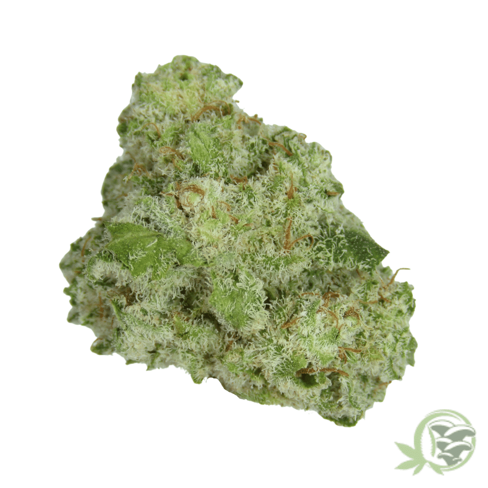Buy the best Weed online in Canada just like this Blueberry Skunk (Smalls) strain.