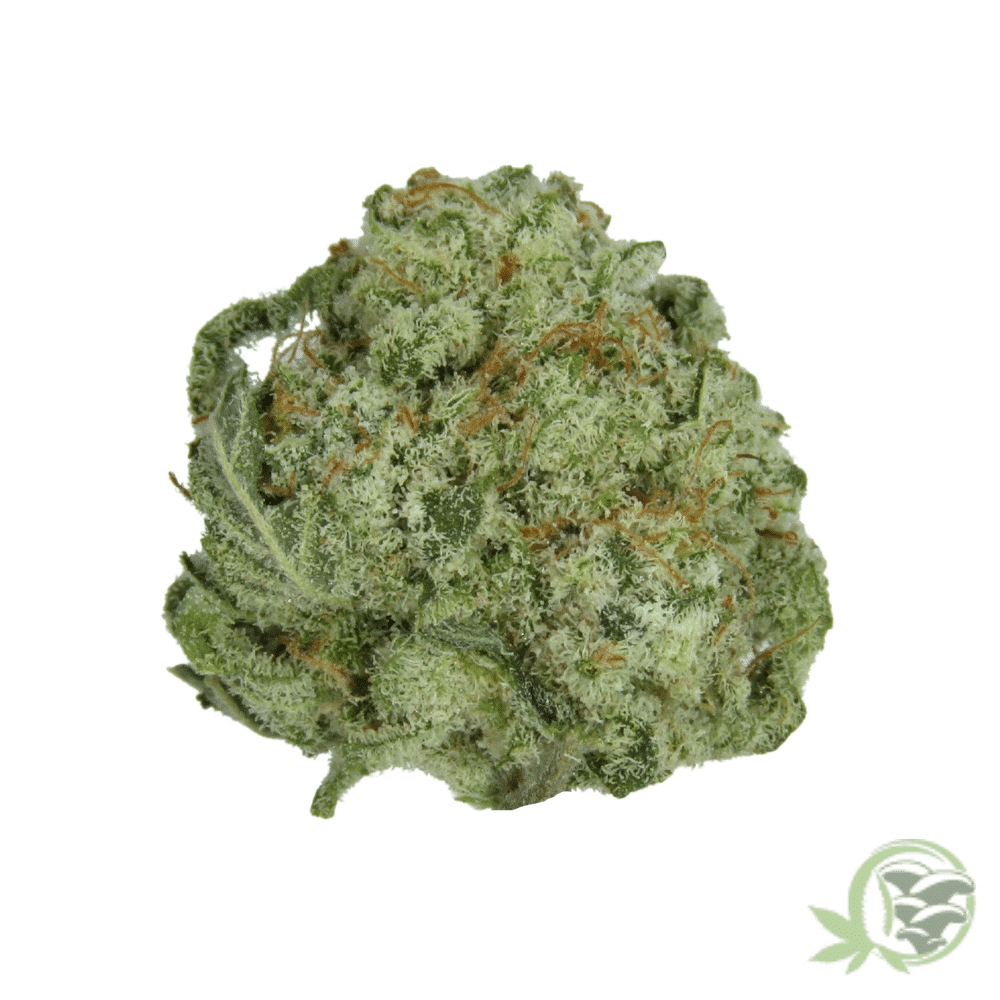 Buy the best Weed online in Canada just like this Blueberry Skunk (Smalls) strain.