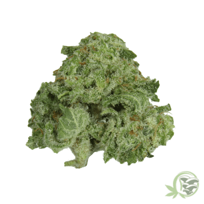 Buy the best Weed online in Canada just like this Blueberry Skunk (Smalls) strain.