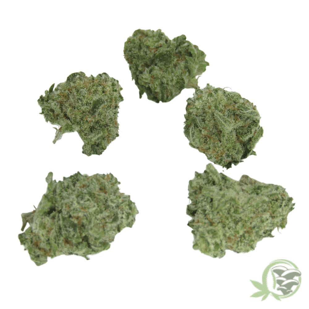 Buy the best Weed online in Canada just like this Blueberry Skunk (Smalls) strain.