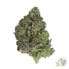 Buy the best Weed in Canada just like this Bluefin Tuna Kush Indica Marijuana strain.