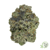 Buy the best Weed in Canada just like this Bluefin Tuna Kush Indica Marijuana strain.