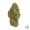 Buy the best Weed in Canada just like this Lemon Sour Diesel Marijuana strain.