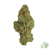 Buy the best Weed in Canada just like this Lemon Sour Diesel Marijuana strain.