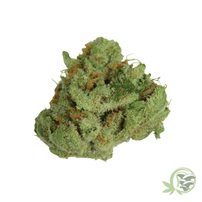 Lemon Thai Marijuana Strain (Smalls)