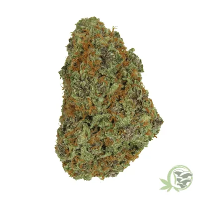 Buy the best Weed online in Canada just like this Super Silver Haze.