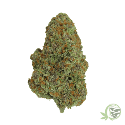 Buy the best Weed online in Canada just like this Super Silver Haze.