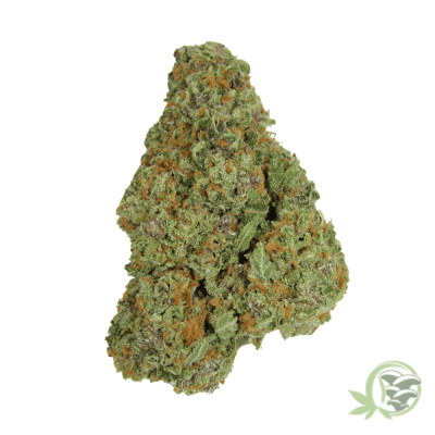 Buy the best Weed online in Canada just like this Super Silver Haze.