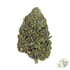 Buy the best Weed online in Canada just like this Tom Ford Pink Kush.