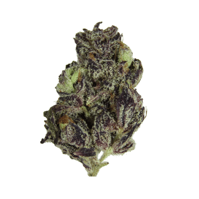 White Truffle Indica (Mids)