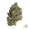 Buy the best Weed in Canada just like this Cherry Diesel strain.