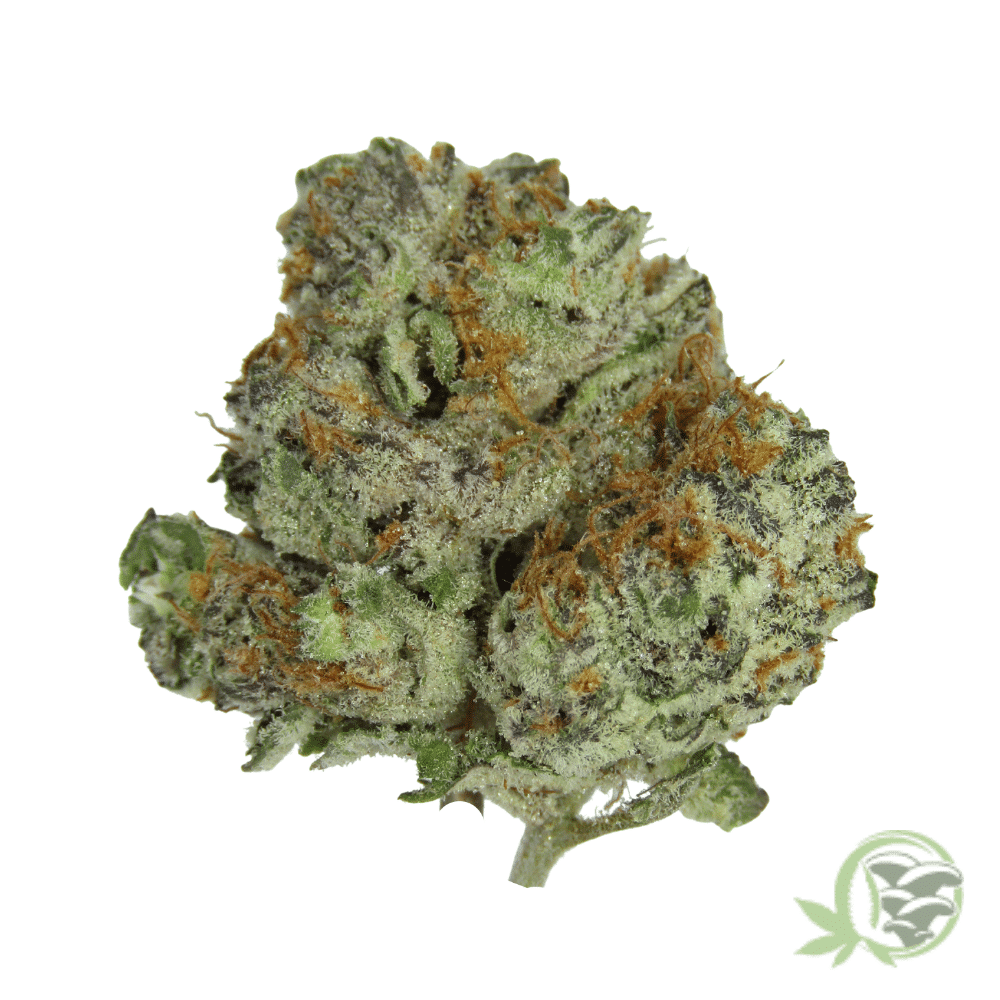 Buy the best Weed in Canada just like this Cherry Diesel strain.