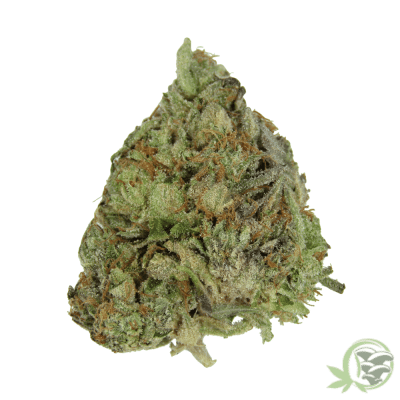 Buy the best Weed online in Canada just like this Death Star Kush strain.