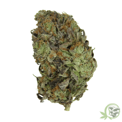Buy the best Weed online in Canada just like this Death Star Kush strain.