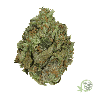 Buy the best Weed online in Canada just like this Death Star Kush strain.