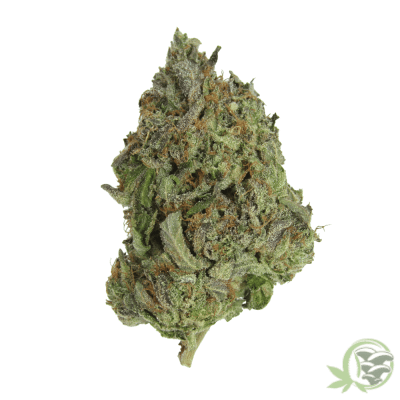 Buy the best Weed online in Canada just like this Death Star Kush strain.