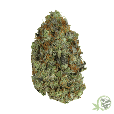 SacredMeds is where to buy the best Weed in Canada just like this Gassy Pink Kush.