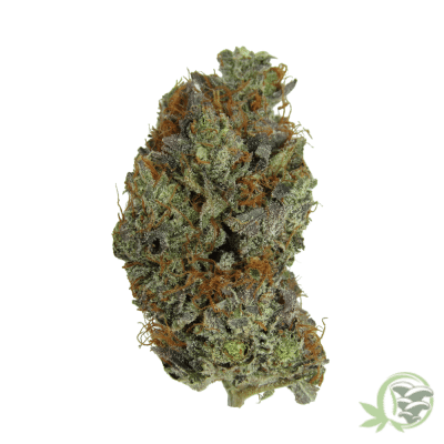 SacredMeds is where to buy the best Weed in Canada just like this Gassy Pink Kush.