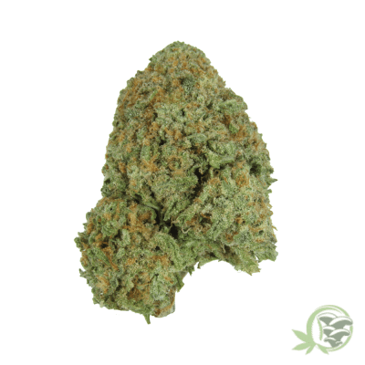 Blue Dream Sativa Hybrid